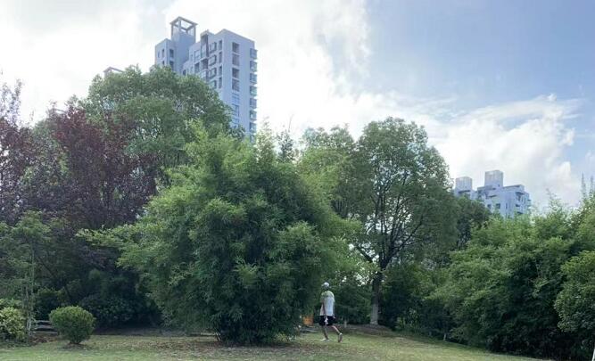 �űȵ�����Сʱ����Ƭ������űȵ��� 