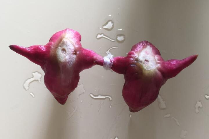 阳朔私人女导游享受私人伴游服务,流行一夫多妻制?