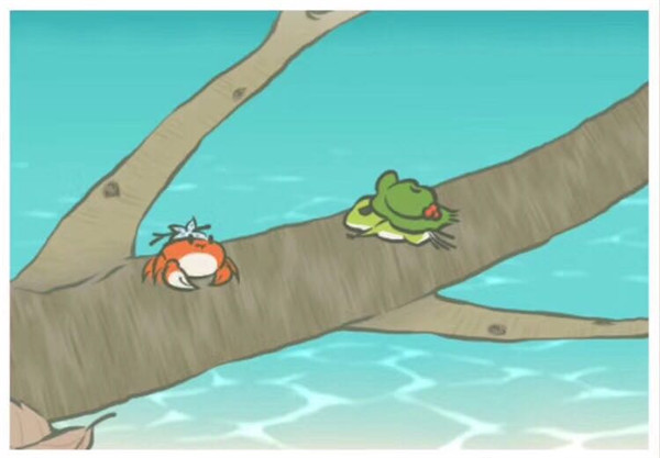 满天星花语和寓意,断舍离什么意思?