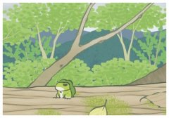 ���Բ���ʲô���ࣿ���򻨲�����ʲô