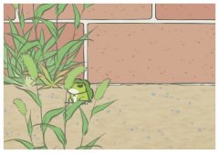 �ɶ���¶����ʲô�裿�ײ��������ֺ�