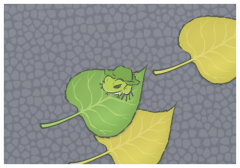 失眠的说说朋友圈,下雨感悟人生的句子