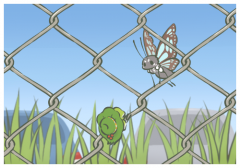 ����Ȧ�İ��߼��̾�,��������һ�κ���ʵ�Ļ�