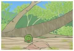 Ů���ľ仰����������,������Ů�˺����˵ľ���