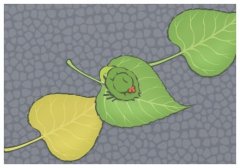 ֪����֮��ָ���Ƕ����ꣿ����������